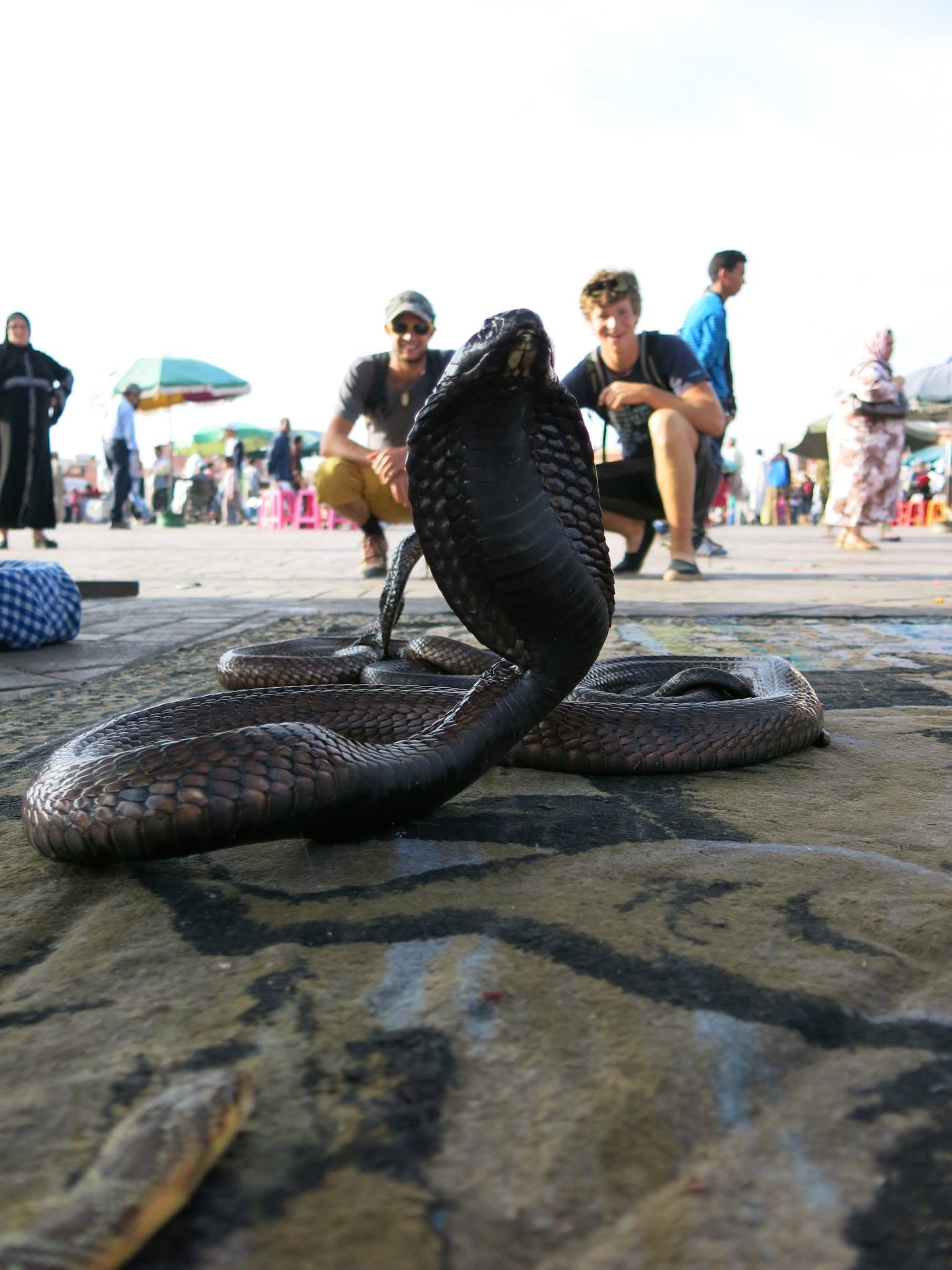 cobra-marrakesh-kletterreise