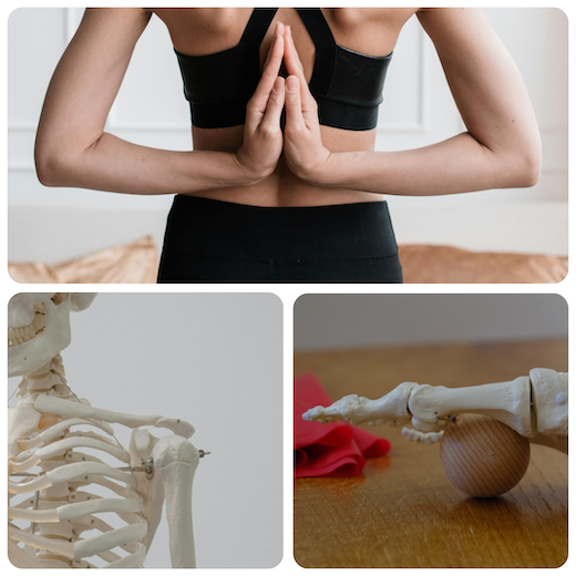 personal-training-salzburg-puehringer