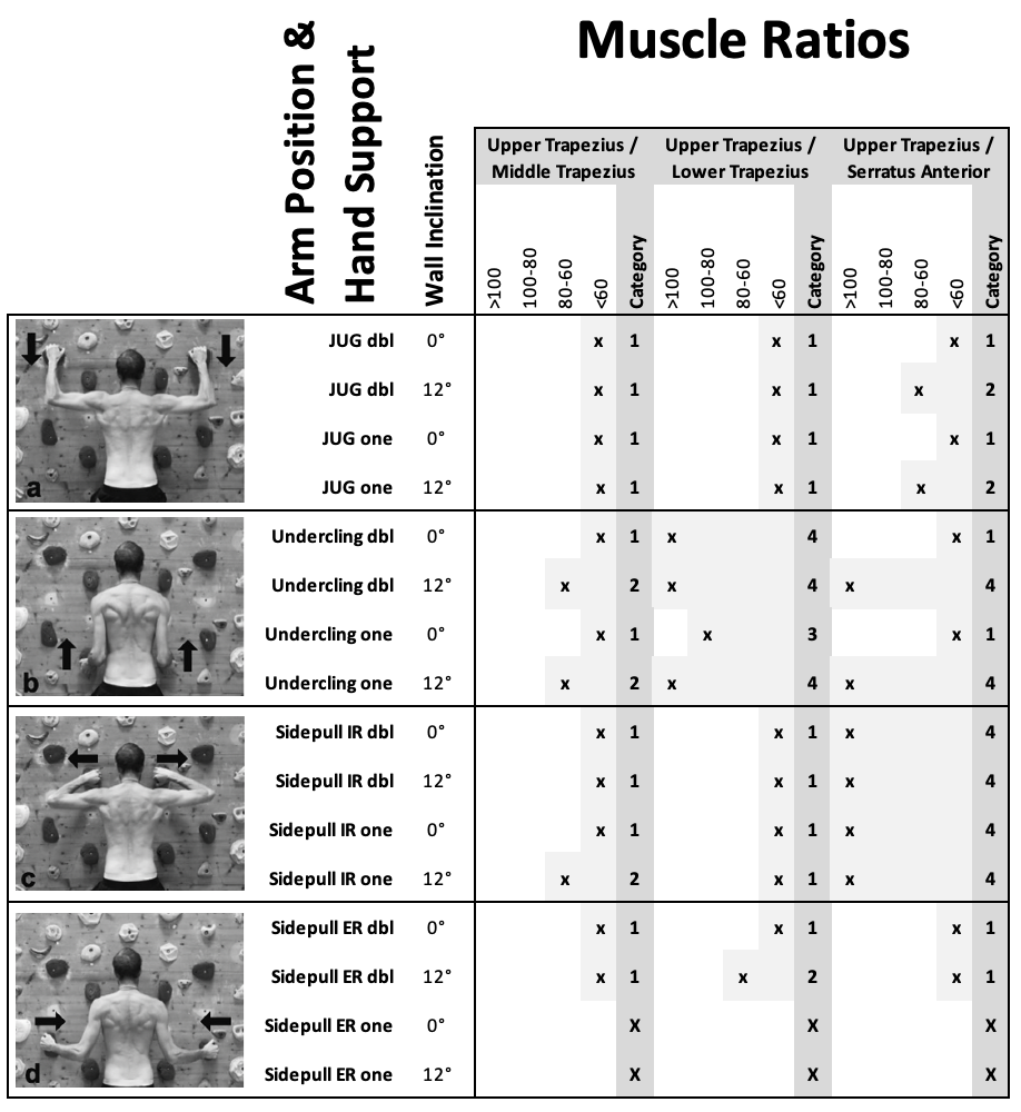 Muskelaktivitätsverhältnis-Rehaphase-Schultermuskeln-therapeutisches-Klettern