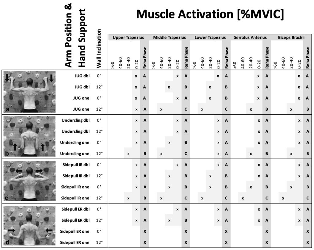 Muskelaktivität-Rehaphase-Schultermuskeln-therapeutisches-Klettern