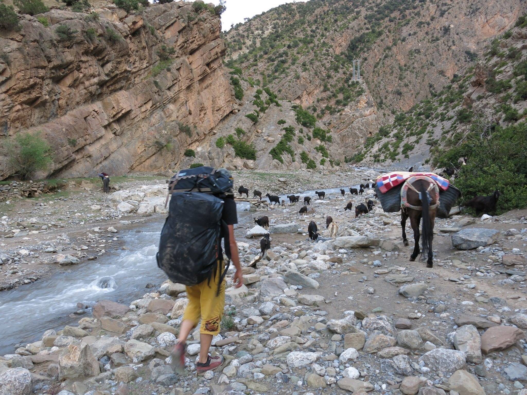 taghia-esel-transport-klettertrip