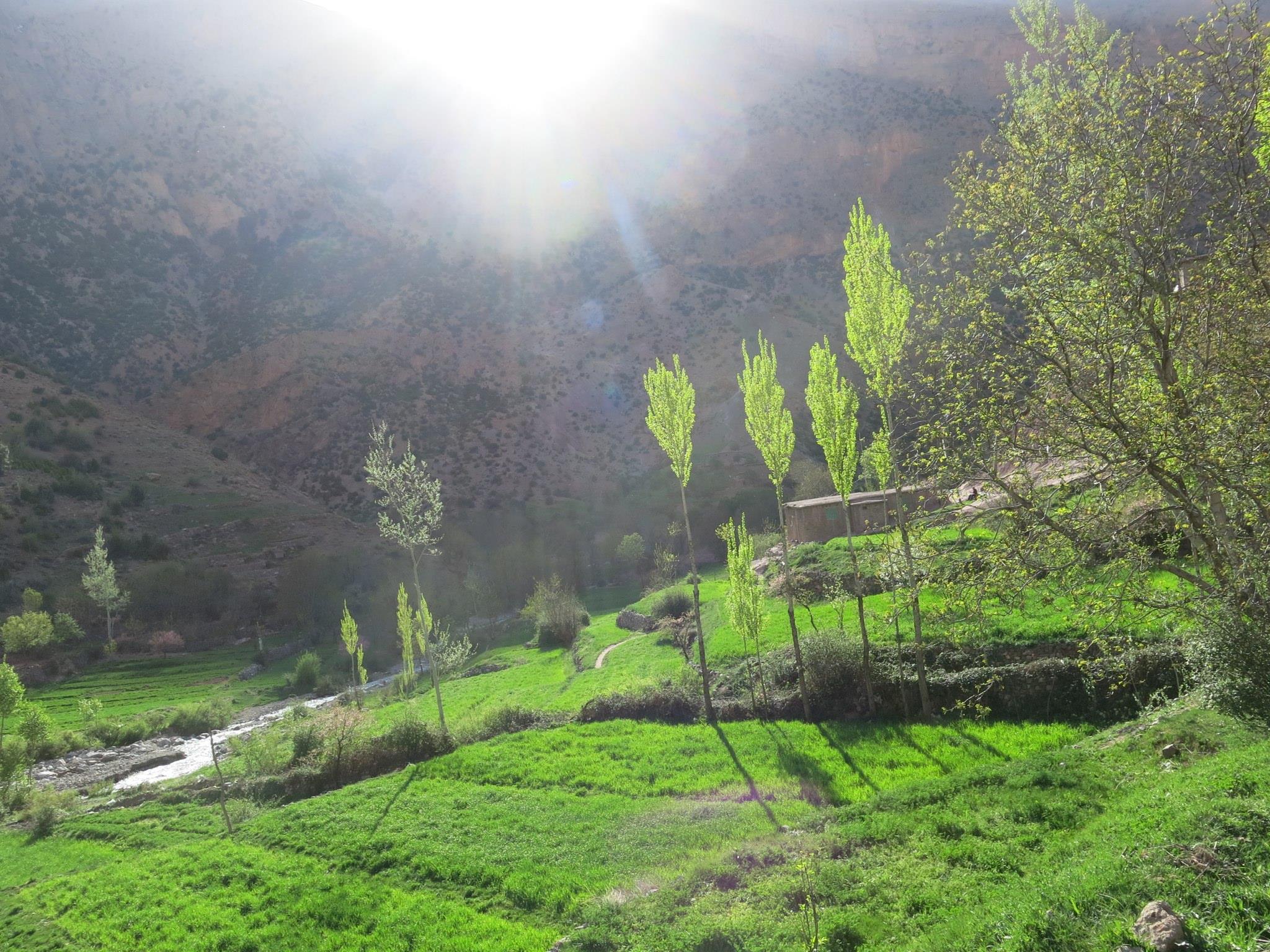 taghia-garten-wiesen-feld