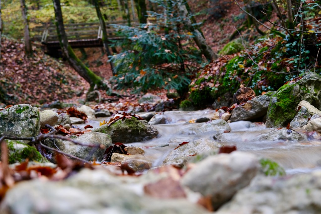 Der Einsatz von handlungsorientiertem Lernen in der Gesundheitsförderung